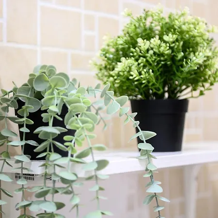 Via Lanzieri 38 شقة *